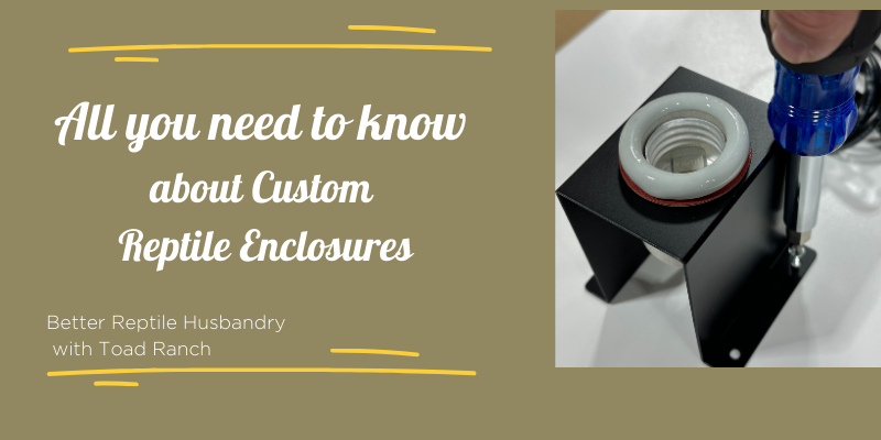 Custom Reptile Enclosure Options
