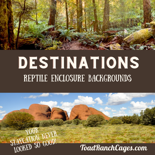 Collection of Reptile enclosure backgrounds