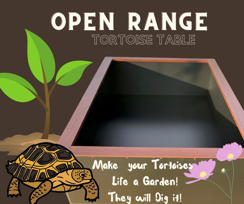 Tortoise Table