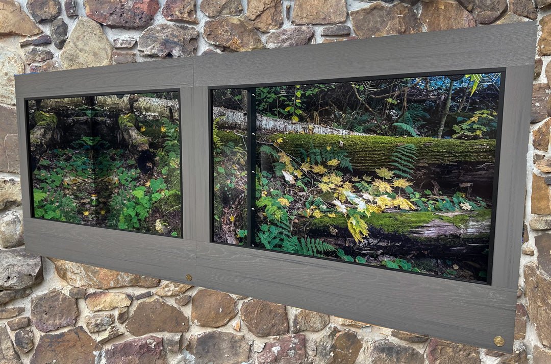 Pennsylvania-Rickettes Glen | Reptile Enclosure Backgrounds