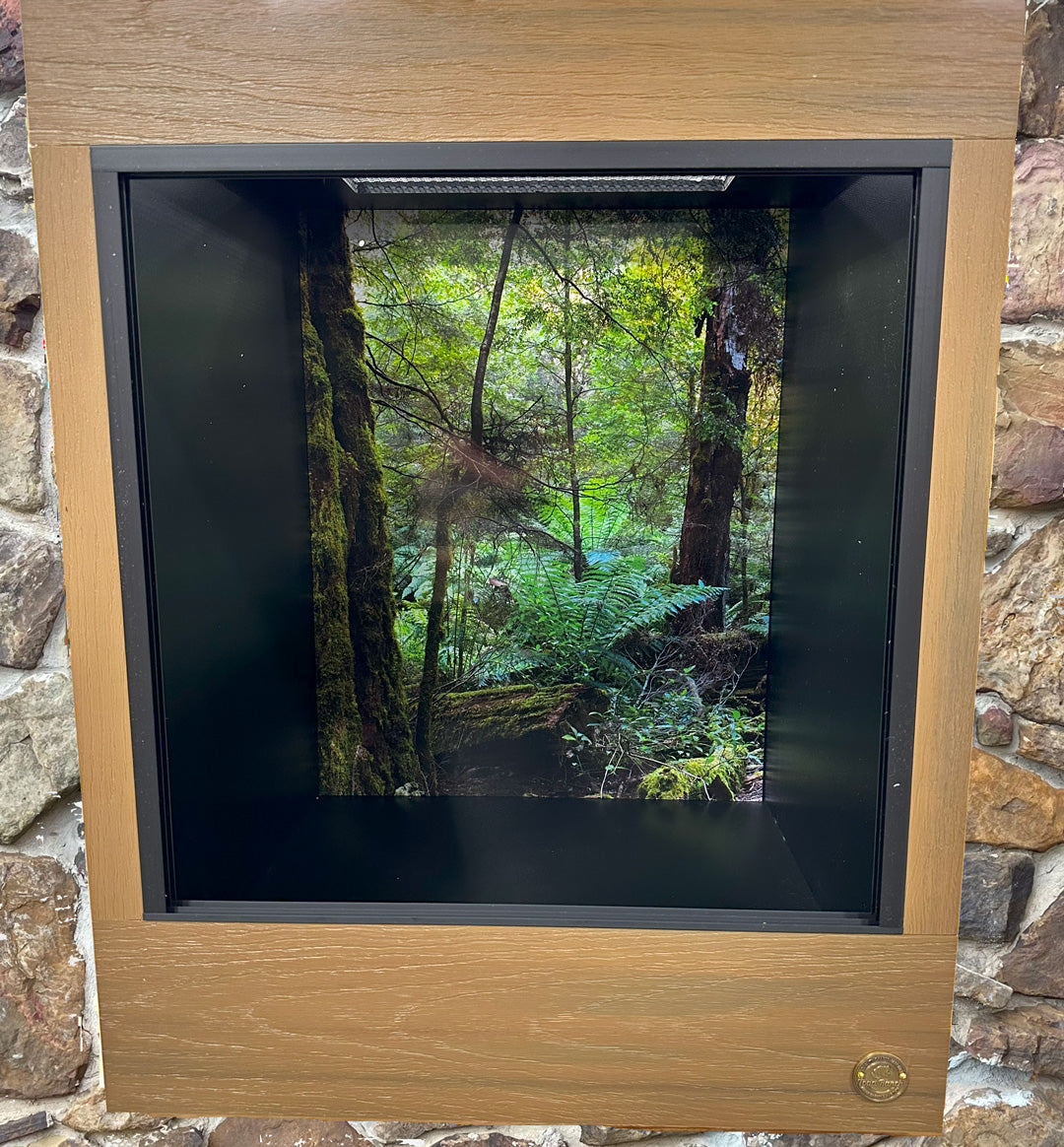 2'x2'x2.5' | Custom HDPE-PVC Reptile Enclosure | Luxury Arboreal Reptile Cage