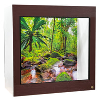 4x2x4 Arboreal Reptile enclosure