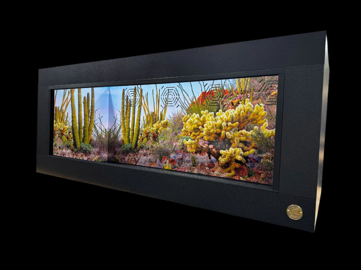 4x2x2 Reptile Enclosure. 3/4" Thick HDPE design in Matte Black paired with Arizona -Organ Pipe Cactus Destinations Background