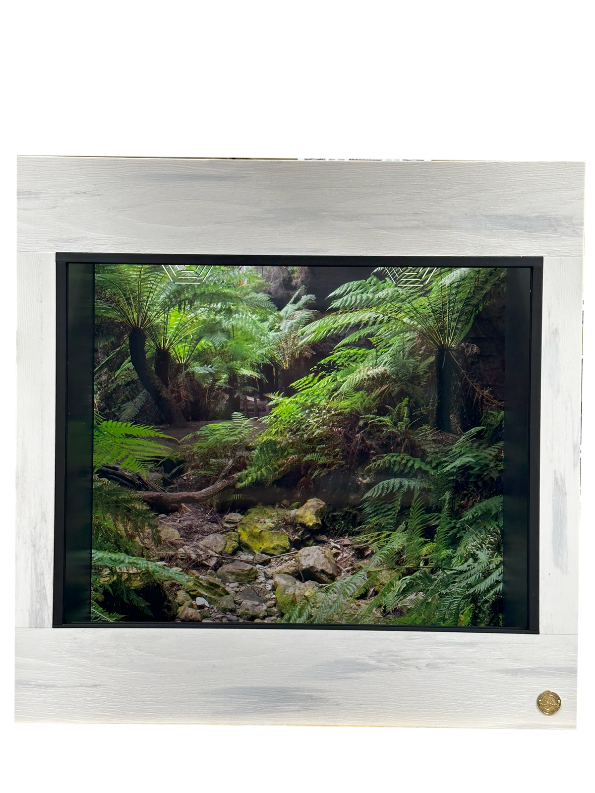4'x2'x4' | Premium HDPE-PVC Arboreal Reptile Enclosure | 4-Foot-Tall Luxury Reptile Cage