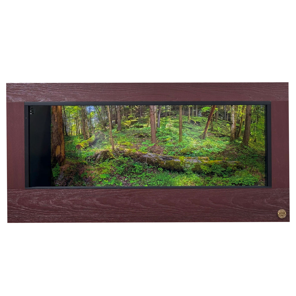 4x2x2 Reptile Enclosure. Featured with mahogany front frame  paired with black PVC body panels.  Destination background with fallen log.