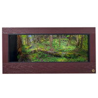 4x2x2 Reptile Enclosure. Featured with mahogany front frame  paired with black PVC body panels.  Destination background with fallen log.
