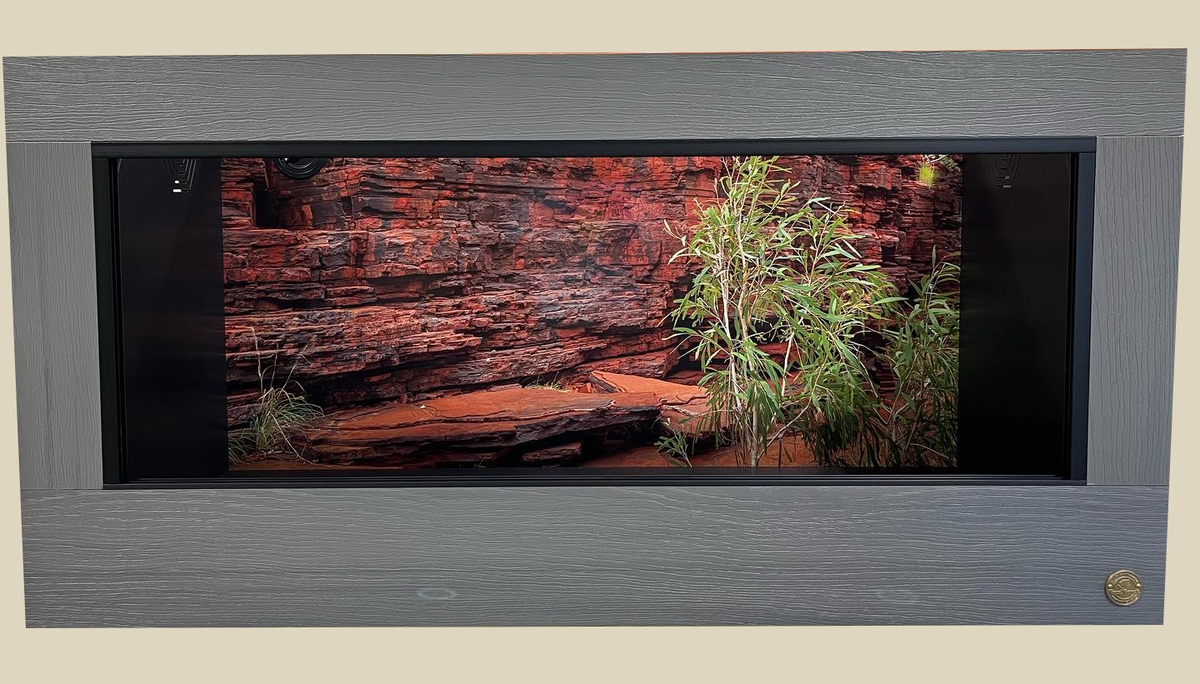 Reptile Cage- Featuring 5x2 reptile enclosure in Driftwood with black PVC body panels, paired with karijini Destination reptile cage background