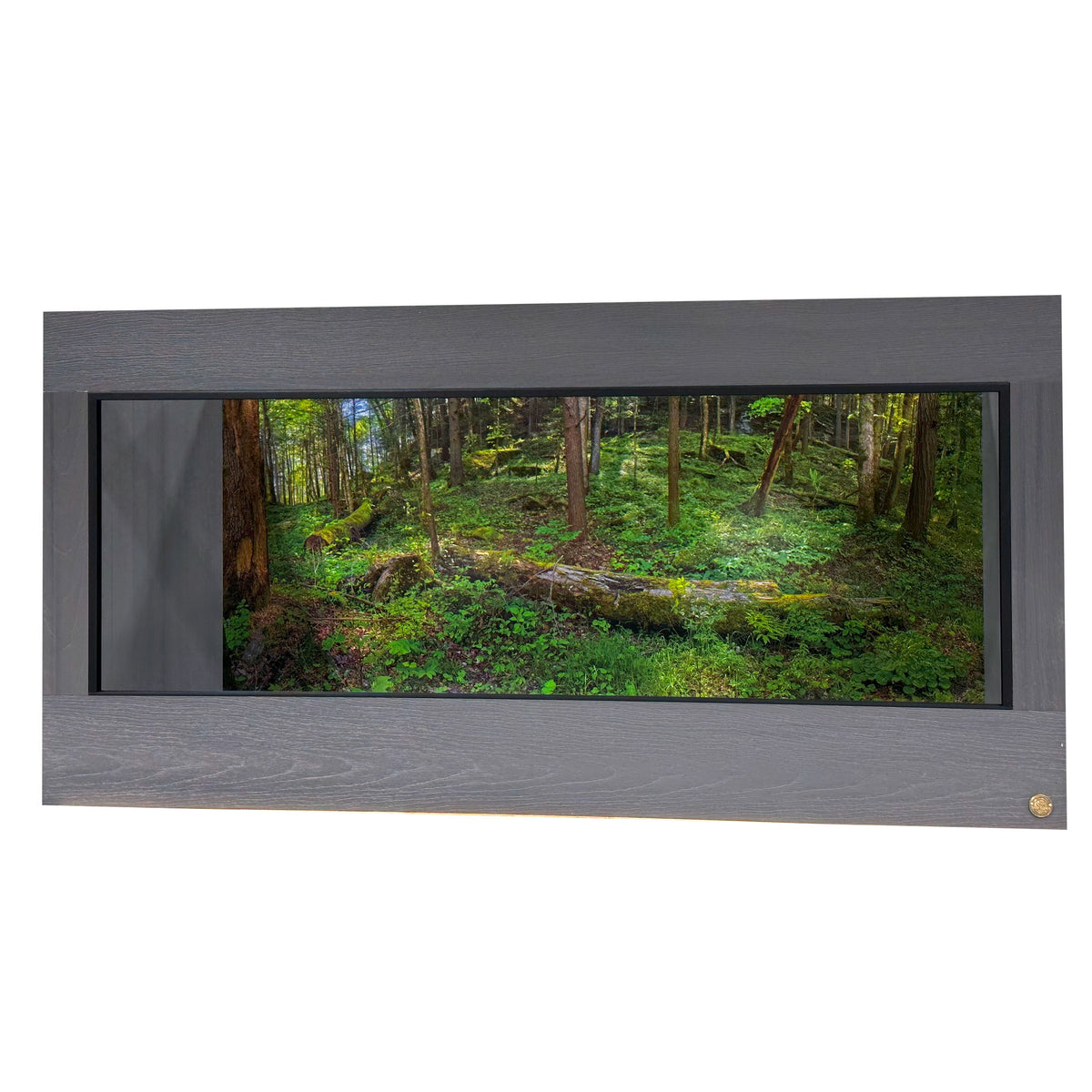 6'x3'x3' | Custom HDPE-PVC Reptile Enclosure | Luxury Reptile Cage