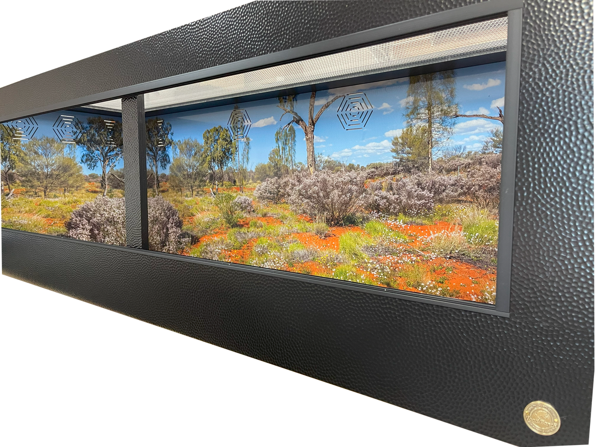 Large reptile enclosure with Australian desert Destinations background.  The perfect Bearded Dragon habitat.