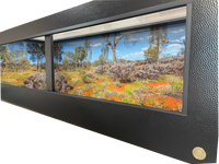 Large reptile enclosure with Australian desert Destinations background.  The perfect Bearded Dragon habitat.