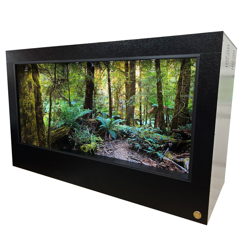 Best 6x3x3 reptile enclosure, showcasing wrap around enclosure background featuring Australian Temperate Rainforest