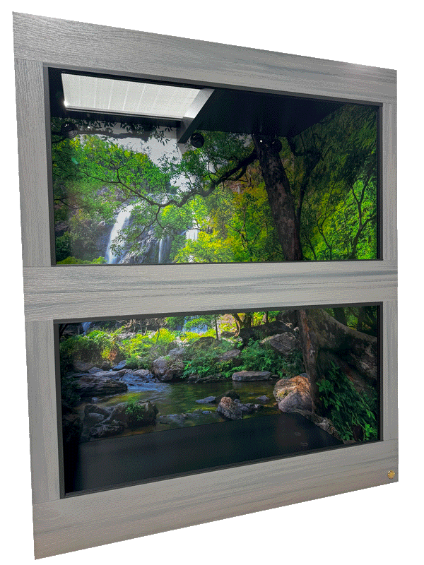 Toad Ranch 5x3x6 Reptile Enclosure with Thailand-Waterfall Reptile Enclosure Background