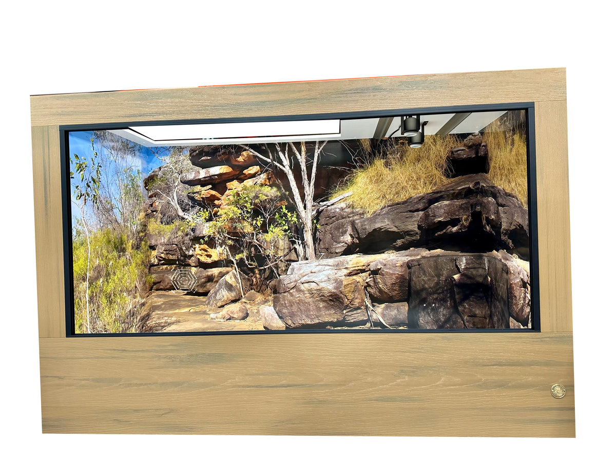 Toad Ranch reptile enclosure featuring Destinations Background with rock outcrop in Kimberly Australia.