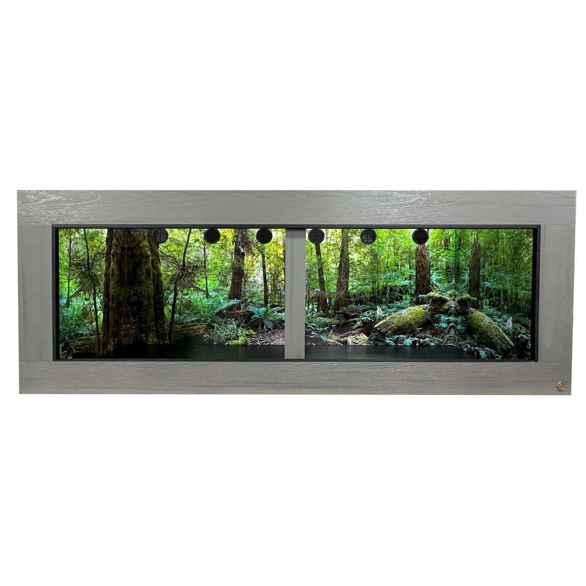 8x4x3' | Custom HDPE-PVC Reptile Enclosure | Luxury Reptile Cage