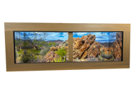 HDPE & PVC Reptile Cage featured in Teak with Joshua Tree Rock background.