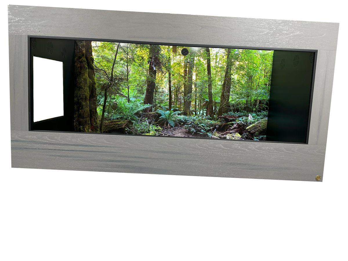 8-Foot Reptile enclosure, Sturdy & beautiful made of HDPE & PVC.  With Temperate Rainforest Enclosure Background.