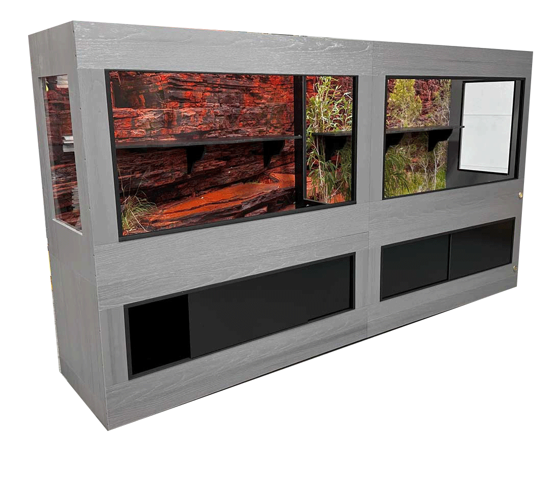 Toad Ranch Reptile Enclosure with Australian Red Rock cage Background.