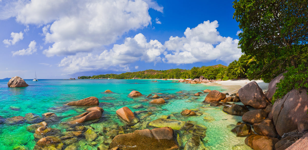 Seychelles- Anse Lazio Beach | Reptile Enclosure Backgrounds