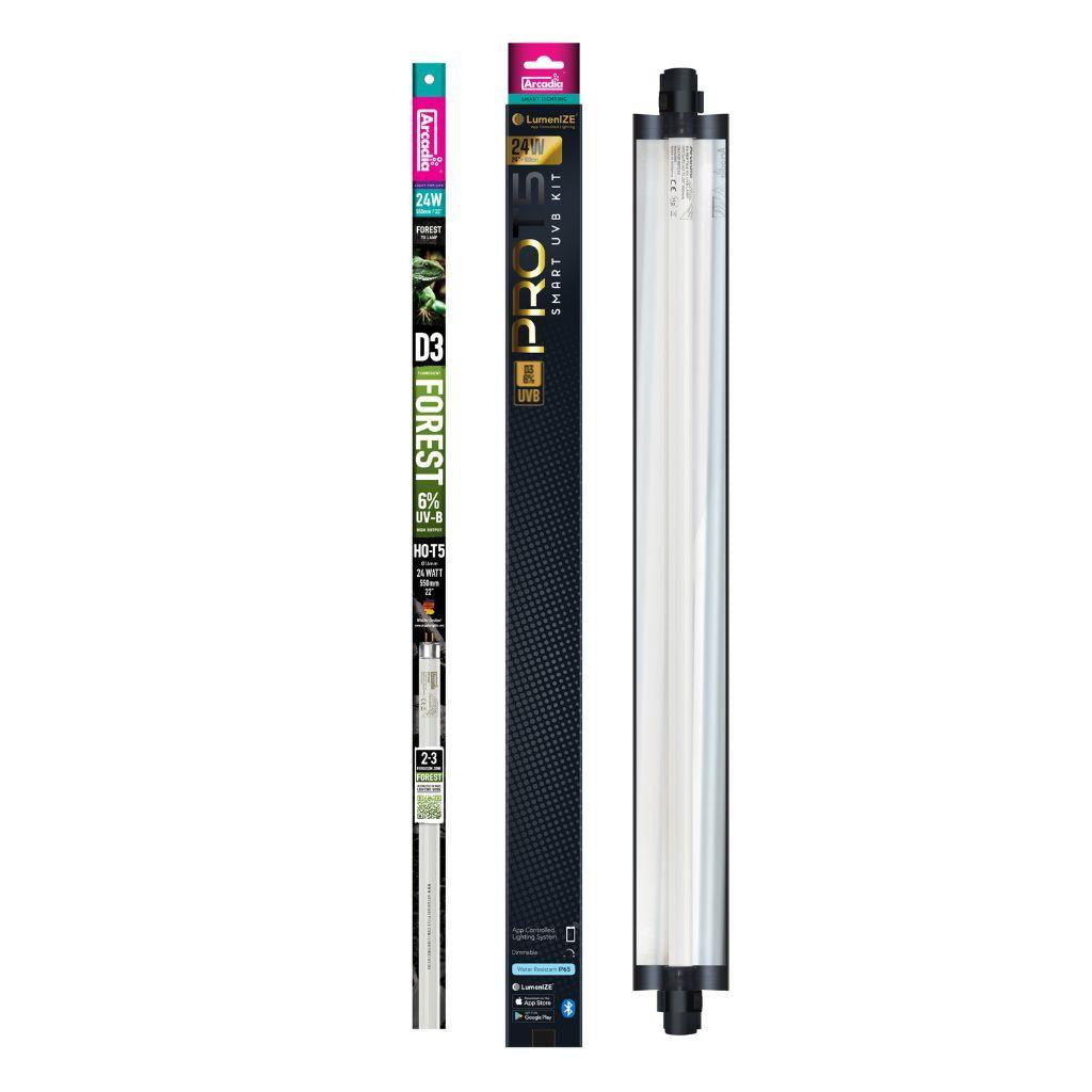 Arcadia LumenIZE | 24