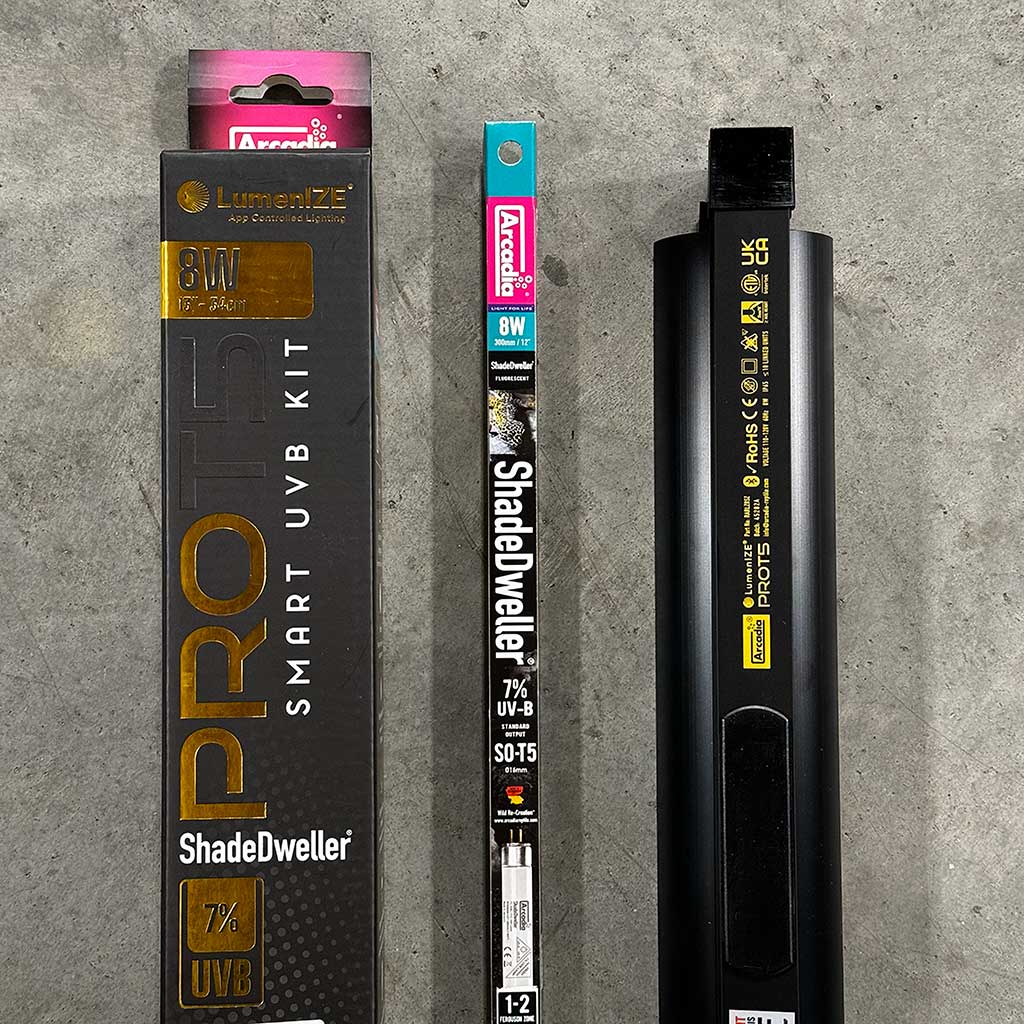 Arcadia LumenIZE | ShadeDweller 13