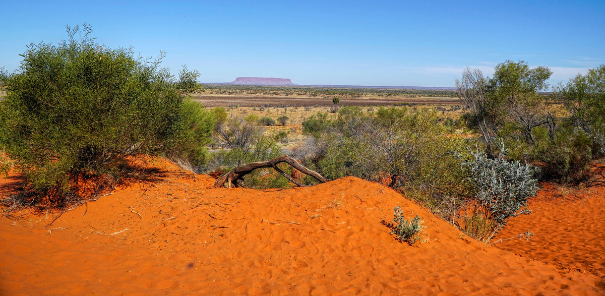 Australian Red Sands Reptile Enclosure Background.