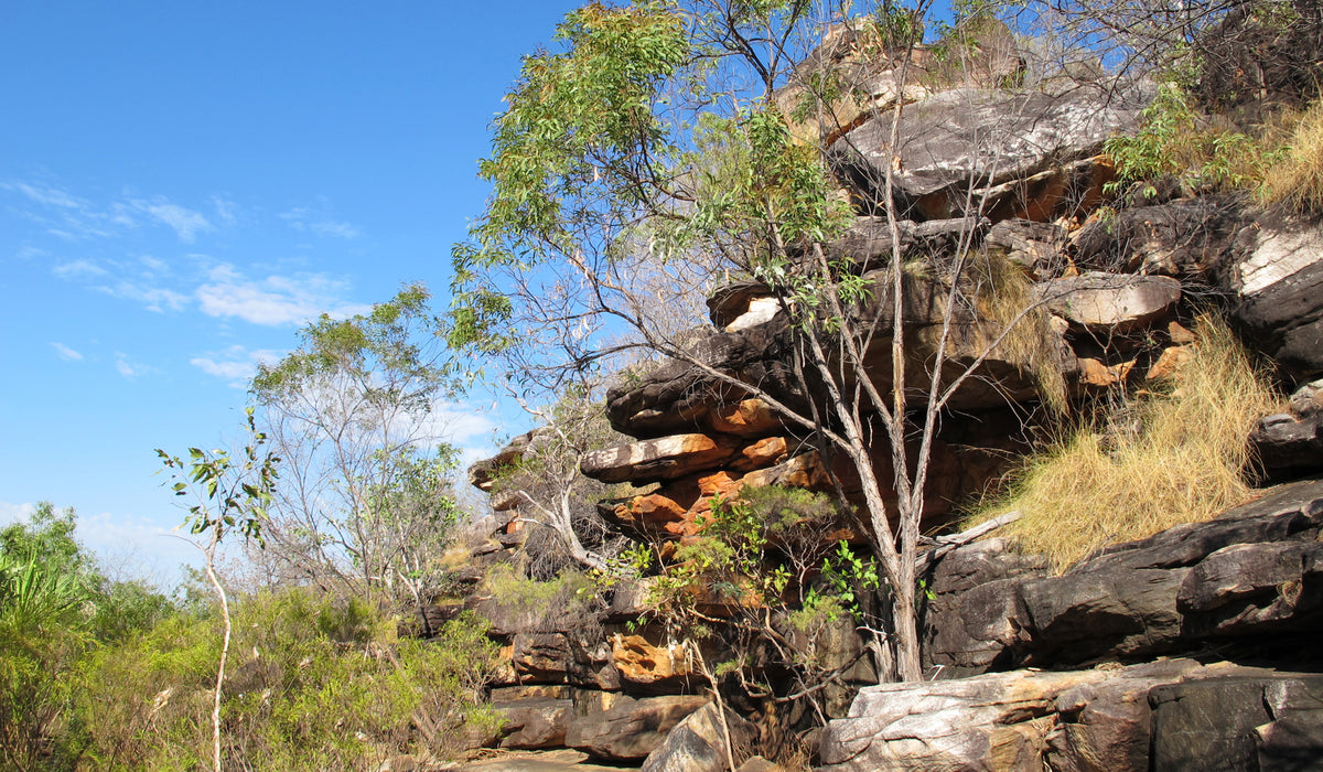 Reptile Enclosure Background featuring Kimberly Australia Rock Outcrop.