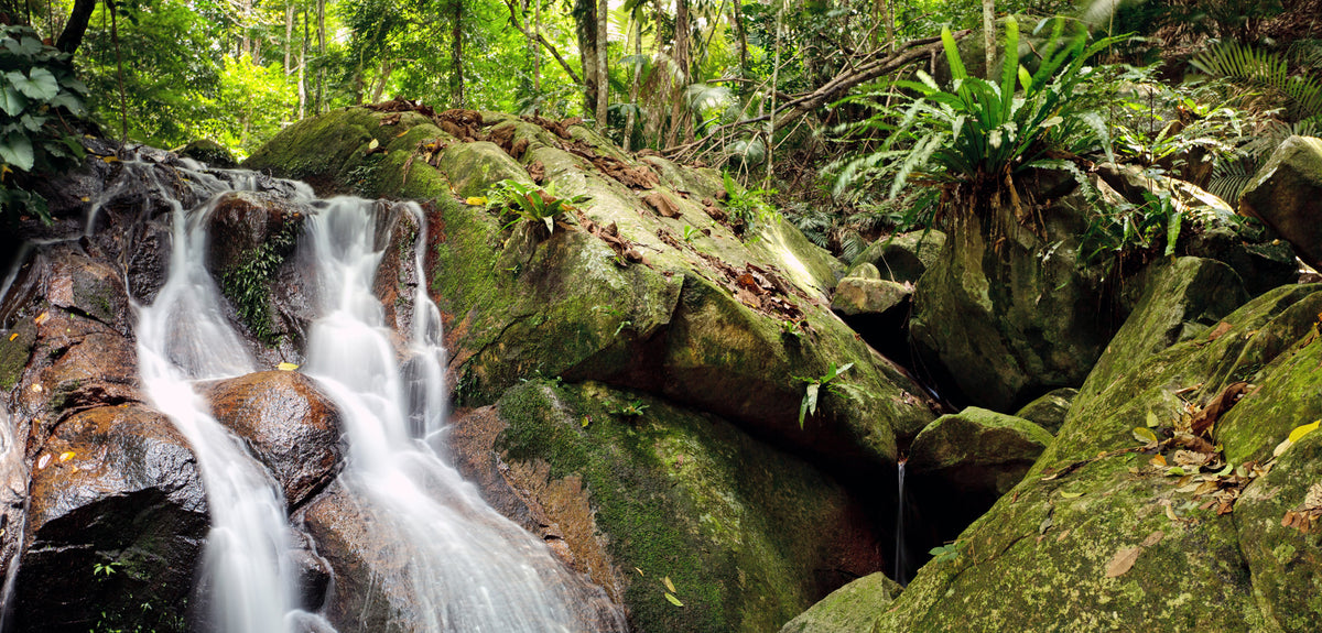 Malaysia-Waterfall | Reptile Enclosure Backgrounds