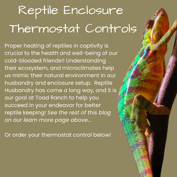 How to heat your reptile cage.