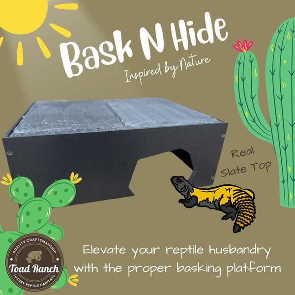 6-inch reptile basking platform with real stone top for optimal UV exposure, heat retention, and safe hide space