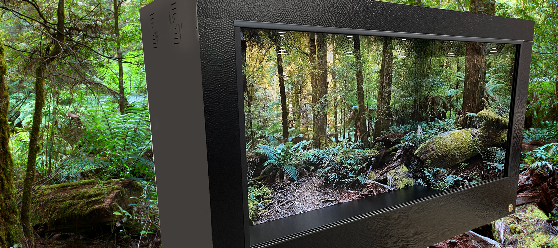 Toad Ranch custom reptile habitats with signature design Destinations Background.