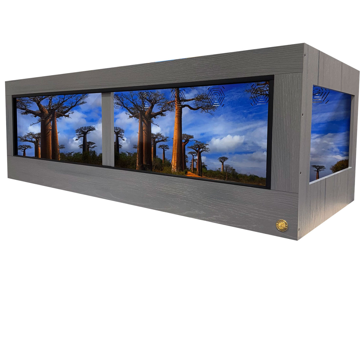 Madagascar - Baobab Alley | Reptile Enclosure Backgrounds