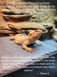 Proper reptile basking platform.