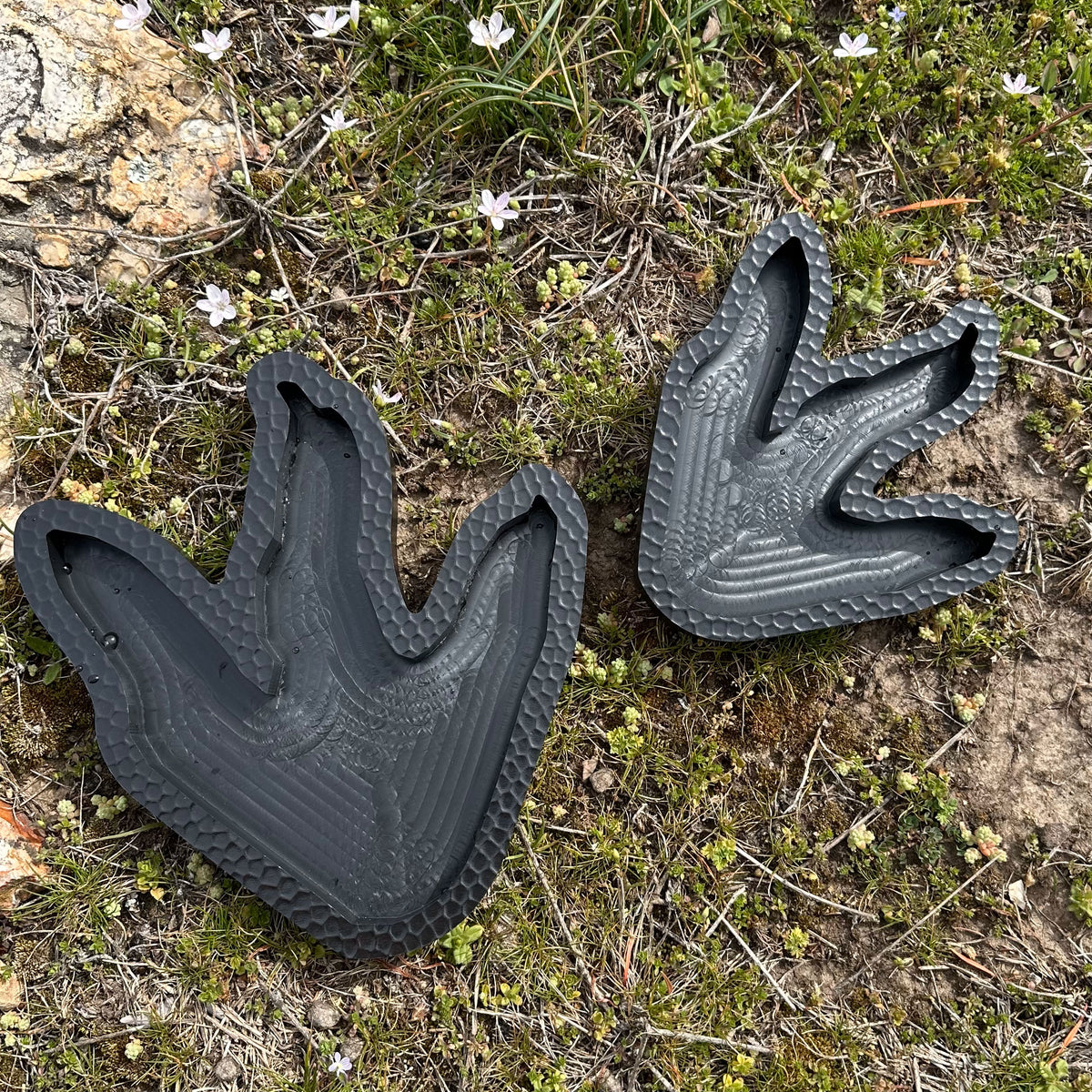 Dino-Dive | Reptile Water Bowl