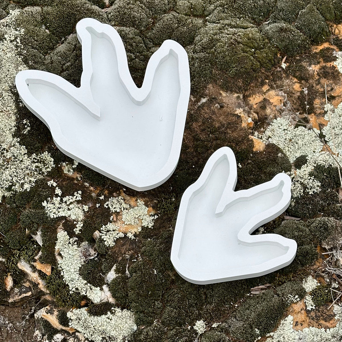 Dino-Dive | Reptile Water Bowl