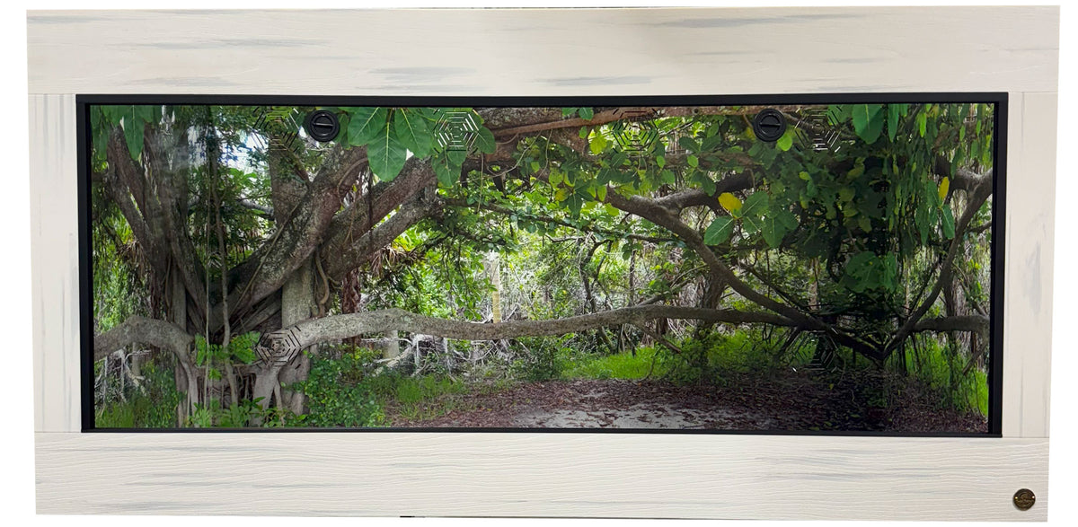 Toad Ranch reptile enclosure featuring Florida Hugh Taylor State Park Destinations Background.
