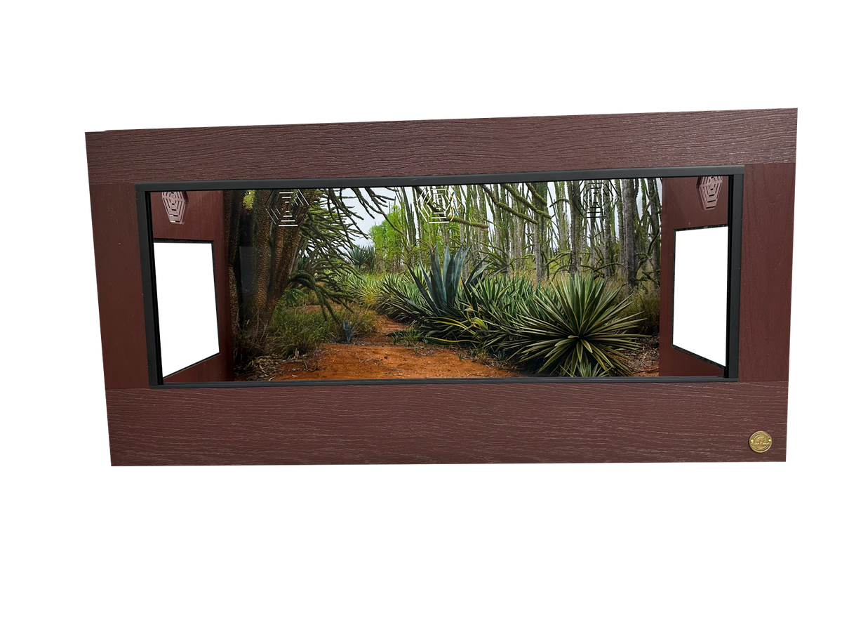 4 foot Mahogany reptile enclosure paired with Madagascar spiny forest background.