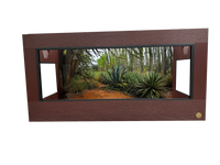 4 foot Mahogany reptile enclosure paired with Madagascar spiny forest background.
