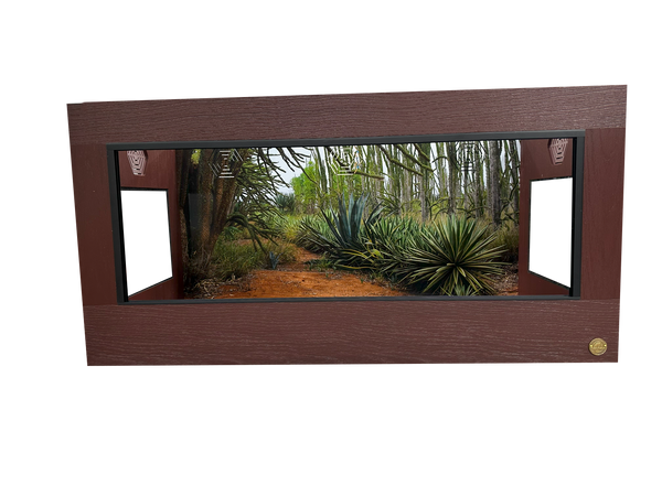 4 foot Mahogany reptile enclosure paired with Madagascar spiny forest background. 
