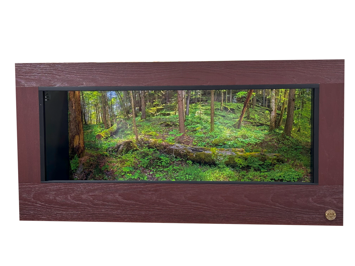 PVC and HDPE reptile enclosure showcasing Kentucky forest backdrop with fallen log.