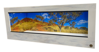Reptile Enclosure featuring Joffre Gorge-Australian Destination with wrap around