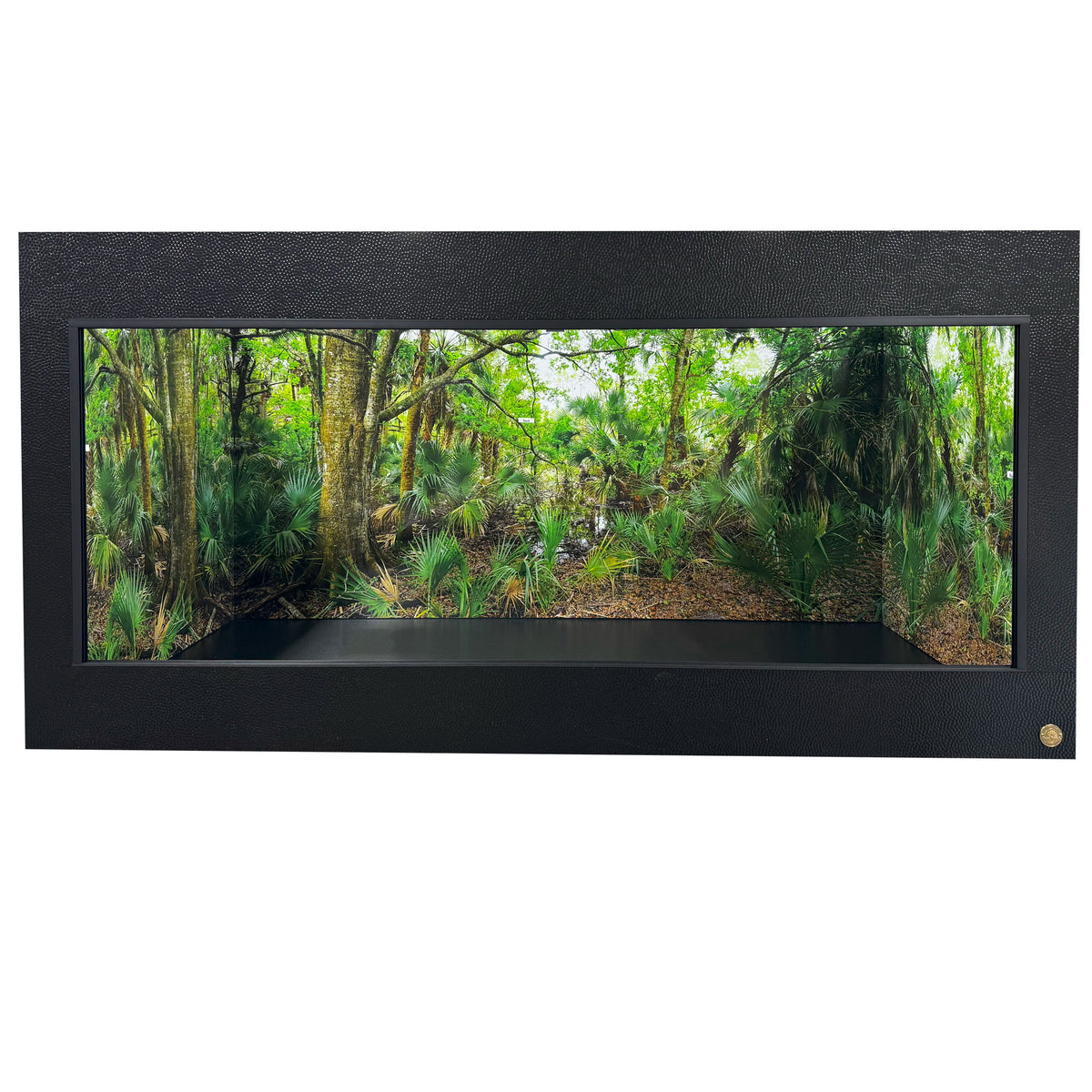 6x3x3 reptile enclosure featuring a beautiful Florida Palms Destination Background