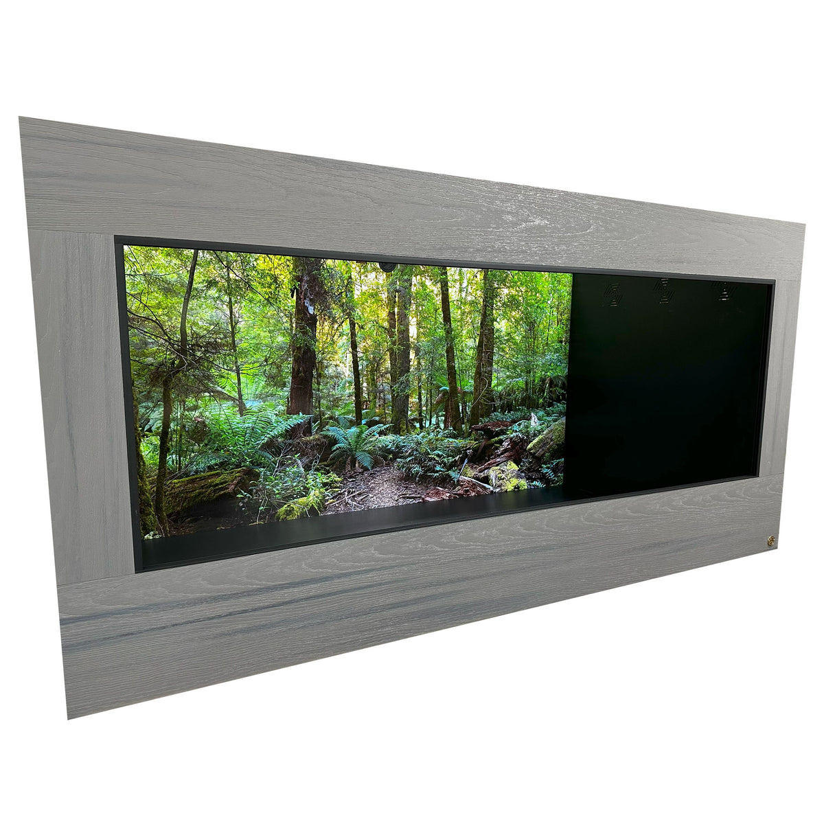 Best Tegu Cage, 8x4x4 reptile enclosure