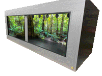 8x4x4 Australian Rainforest Reptile Enclosure Background