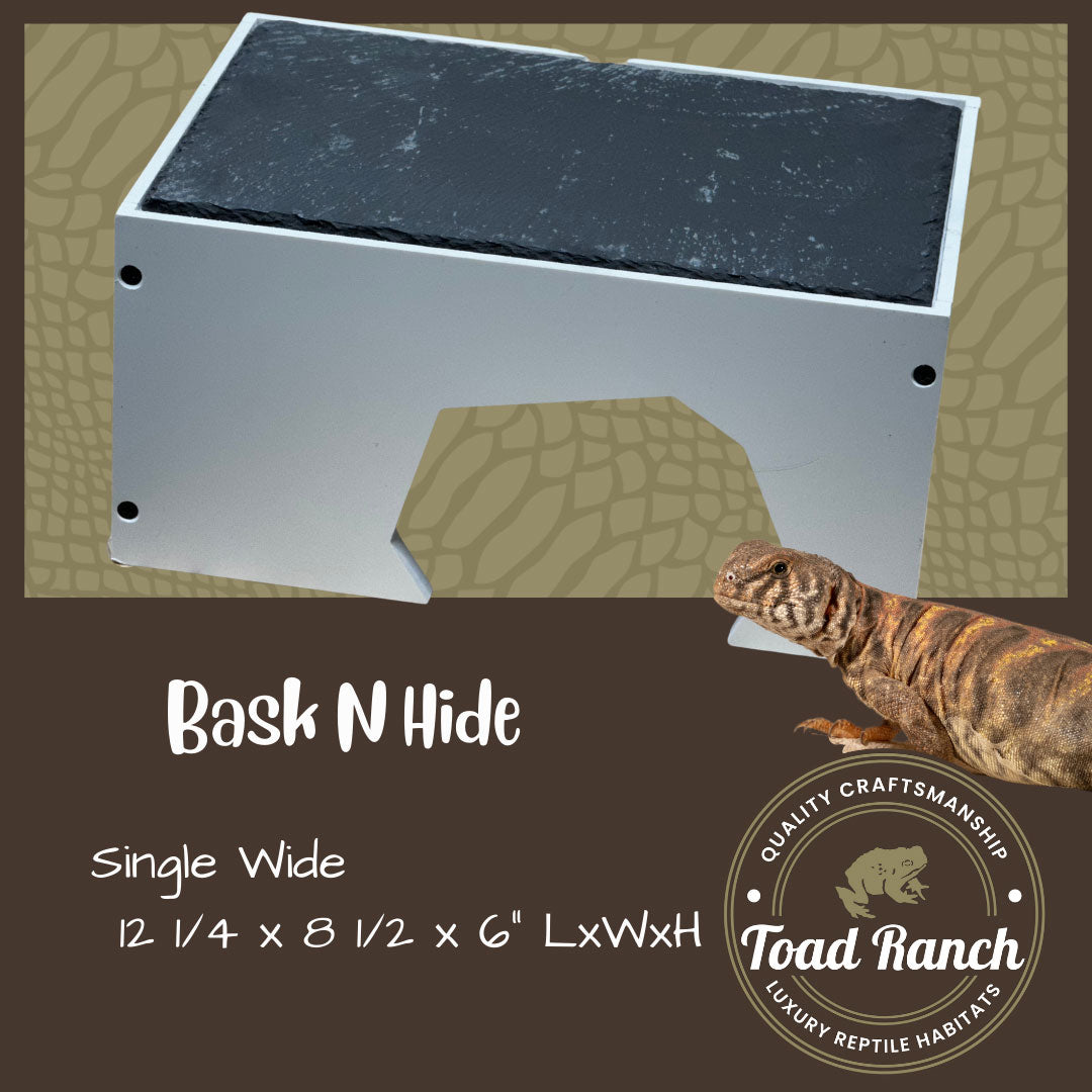 Bask-N-Hide | Reptile Basking Platform and Hide Box