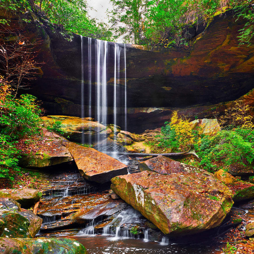 Reptile Enclosure Background featuring Van Hook Fall in Daniel Boone National Forest Kentucky. Pictured example to fit 4x4 reptile enclosure.