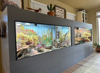 Arizona- Organ Pipe Cactus National Monument | Reptile Enclosure Backgrounds