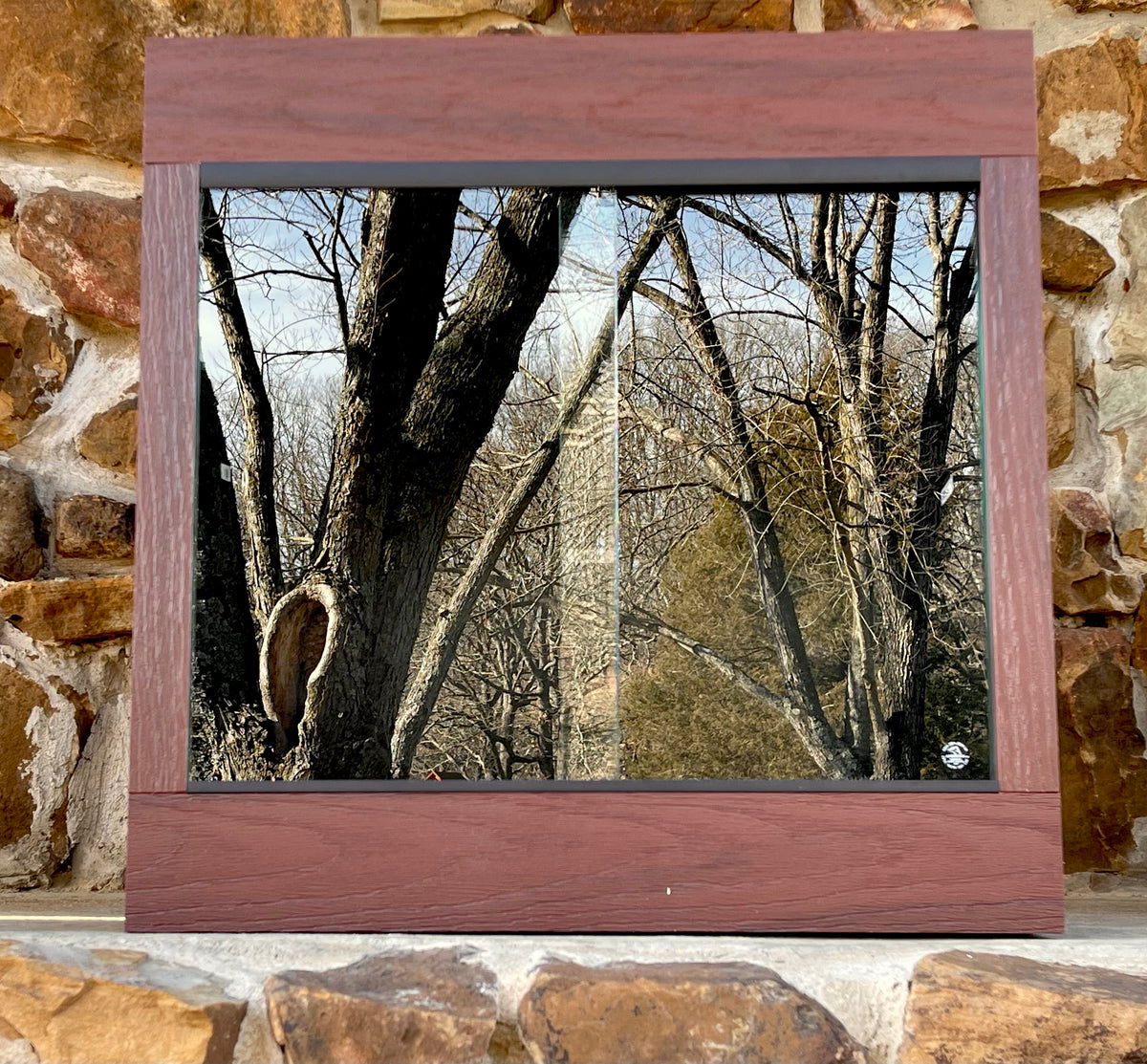 BC24 | 24"x24"x24" | Premium HDPE-PVC Reptile Enclosure | 2 Foot Luxury Reptile Cage