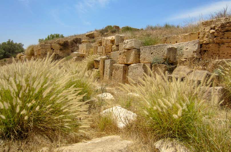 Libya-Ancient Roman Ruins | Reptile Enclosure Backgrounds