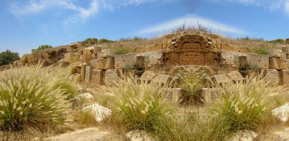 Libya-Ancient Roman Ruins | Reptile Enclosure Backgrounds