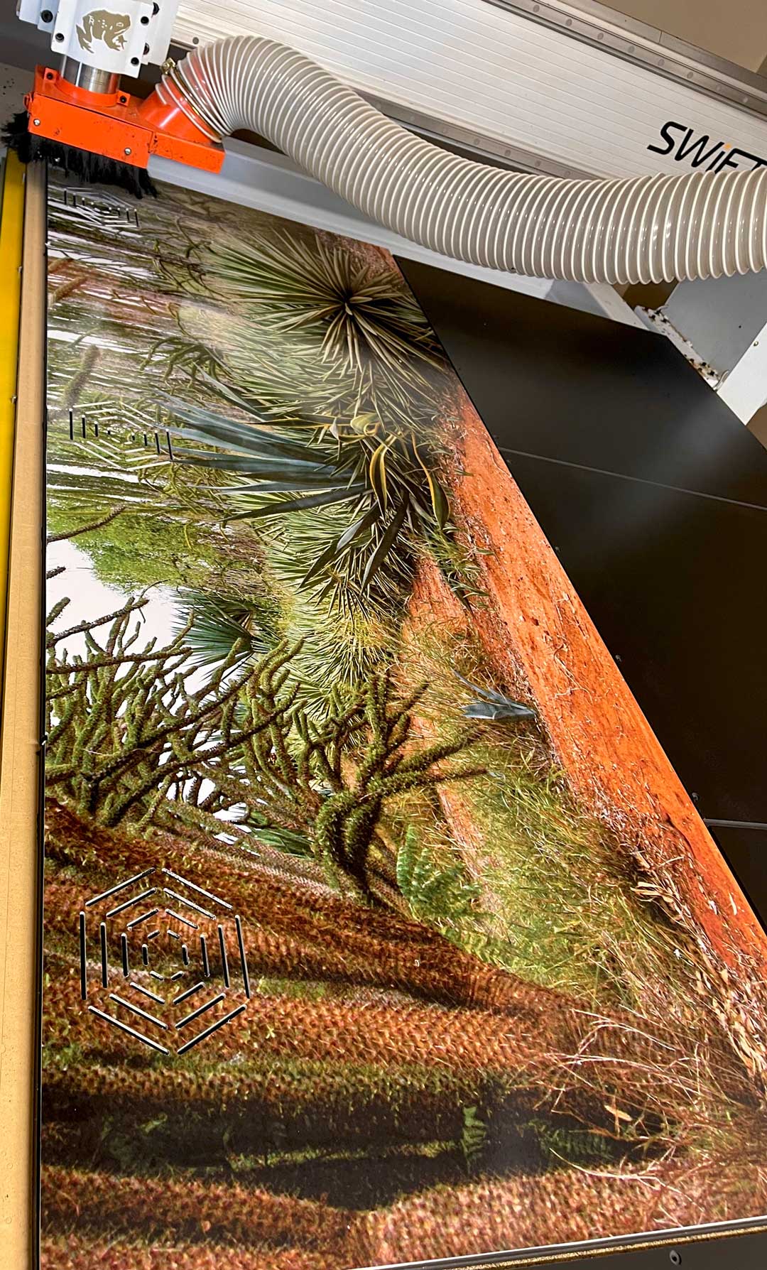 Madagascar- Spiny Forest | Reptile Enclosure Backgrounds